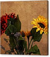 Tuscan Sunflowers Canvas Print