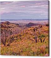Twilight Panorama Of Limpia Canyon And Chihuahua Desert - Davis Mountains State Park - Fort Davis Canvas Print