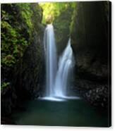 Twin Falls Canvas Print