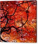 Twisted Red Canvas Print