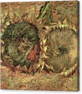 Two Cut Sunflowers, 1887 Canvas Print