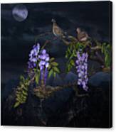 Mourning Doves In Moonlight Canvas Print