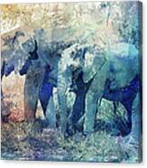 Two Elephants Canvas Print