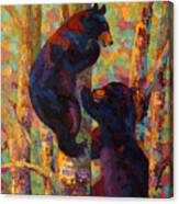 Two High - Black Bear Cubs Canvas Print