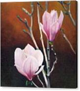 Two Magnolias Canvas Print