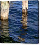 Two Old Pilings 2 Canvas Print