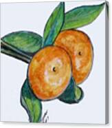 Two Oranges Canvas Print