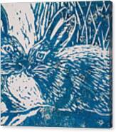 Two Rabbits Canvas Print