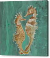 Two Seahorse Lovers Canvas Print
