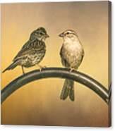 Two Sparrows Canvas Print