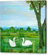 Two Swans Canvas Print