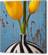 Two Yellow Tulips Canvas Print
