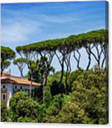 Umbrella Trees In Rome Canvas Print