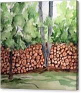 Under Hill Rd. Woodpile Canvas Print