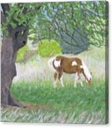 Under The Old Apple Tree Canvas Print