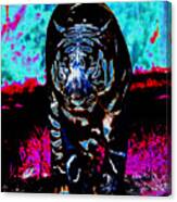 Unusual Tiger On The Prowl Canvas Print