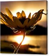 Uplifting Canvas Print