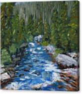 Upstream Or Downstream Canvas Print
