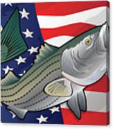 Usa Rockfish Striped Bass Canvas Print