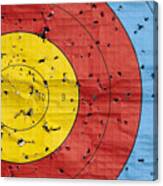 Used Archery Target Close Up Canvas Print