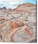 Valley Of Fire Beehives Canvas Print