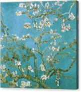 Van Gogh Blossoming Almond Tree Canvas Print