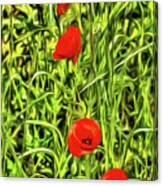 Van Gogh Poppies Canvas Print
