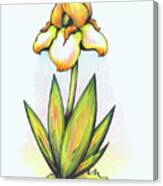 Vibrant Flower 7 Iris Canvas Print