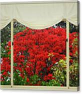 Vibrant Red Blossoms Window View By Kaye Menner Canvas Print