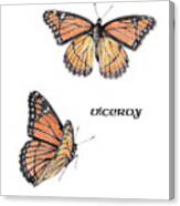 Viceroy Butterfly Canvas Print