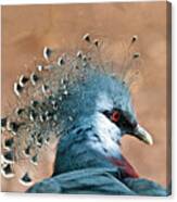 Victoria Crowned Pigeon Canvas Print
