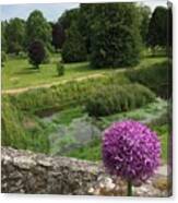 View From Blarney Castle Canvas Print