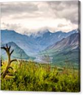 View From Eielson Canvas Print