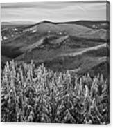View From Mt. Hood In Black And White Canvas Print