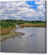 View From The Bridge Canvas Print