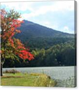View Of Abbott Lake And Sharp Top In Autumn Canvas Print