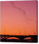 View Of The Congress Bridge In Austin As Streams Of Bats Fly Out Of The Bridge During Pink Sunset Canvas Print