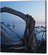 View Through Driftwood At Sunrise Canvas Print