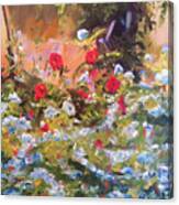 Villefranche Blossums Canvas Print