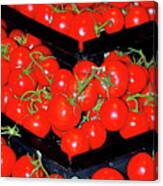 Vine Ripened Tomatoes Canvas Print