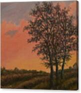 Vineyard Sundown Canvas Print