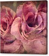 Vintage Roses - Deep Pink Canvas Print