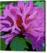 Violet Azalea Canvas Print