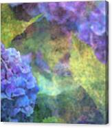 Violet Hydrangea 3637 Idp_2 Canvas Print