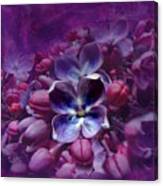 Violet Lilac Canvas Print
