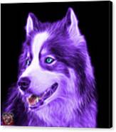 Violet Modern Siberian Husky Dog Art - 6024 - Bb Canvas Print