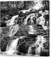 Vogel State Park Waterfall Canvas Print