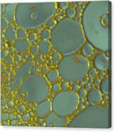Volcanic Turquoise Gold Canvas Print