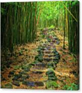 Waimoku Bamboo Forest #2 Canvas Print