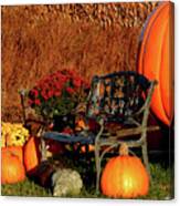 Waiting For The Great Pumpkin Canvas Print